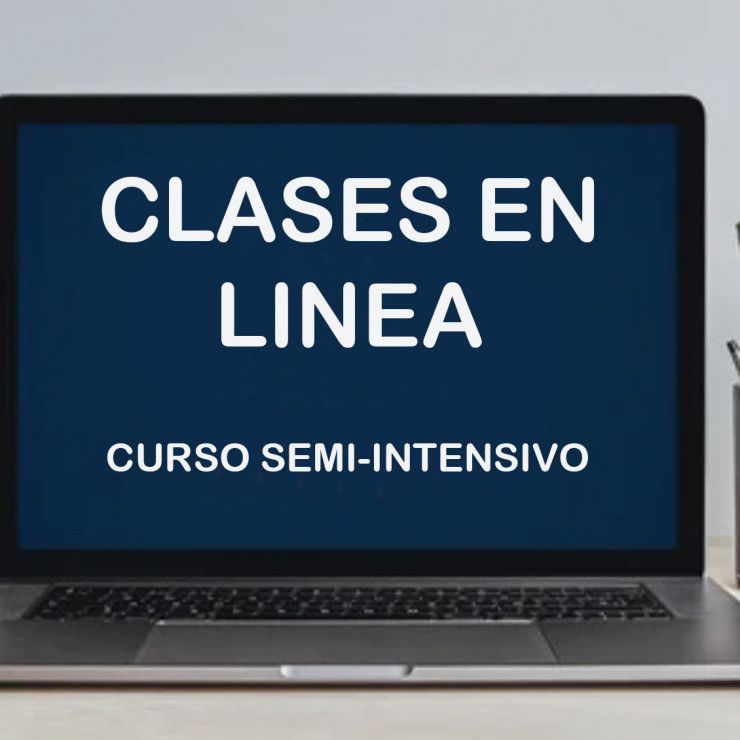 Clases en Linea Curso Semi – intensivo